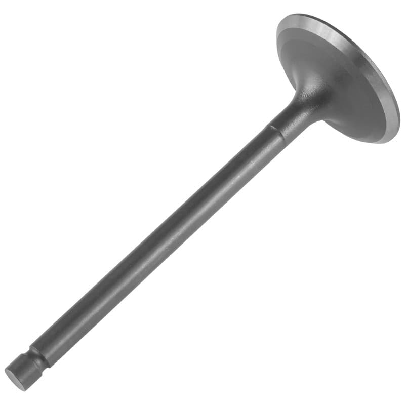 Intake Valve for Yamaha Timberwolf 250 YFB250 2WD 1992-1997