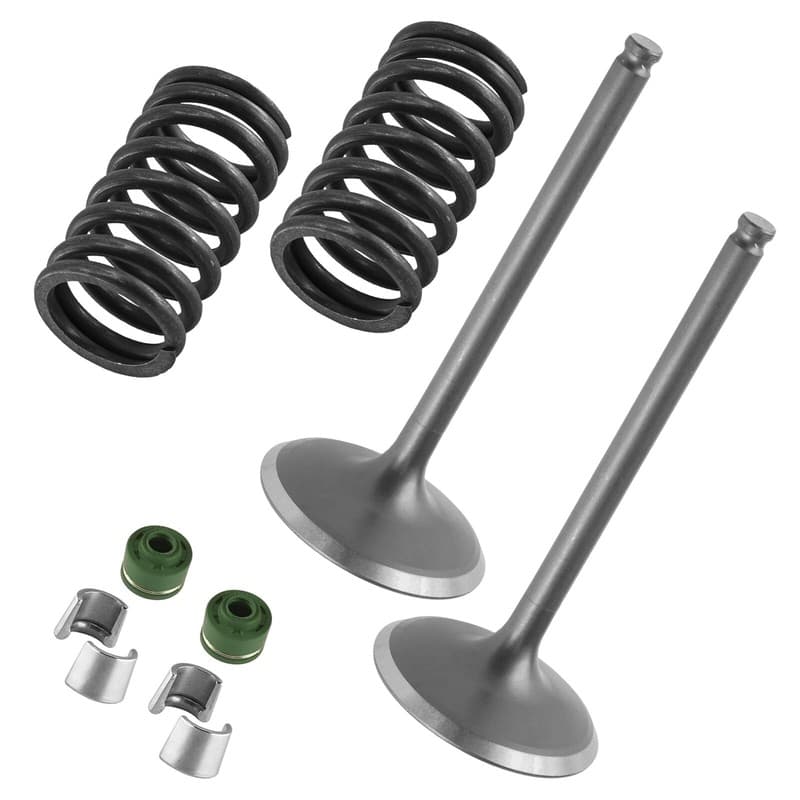 2x Intake Valve Kit for Yamaha YZ450FX 2016-2018 / 1SL121110000 51Y-12119-00-00