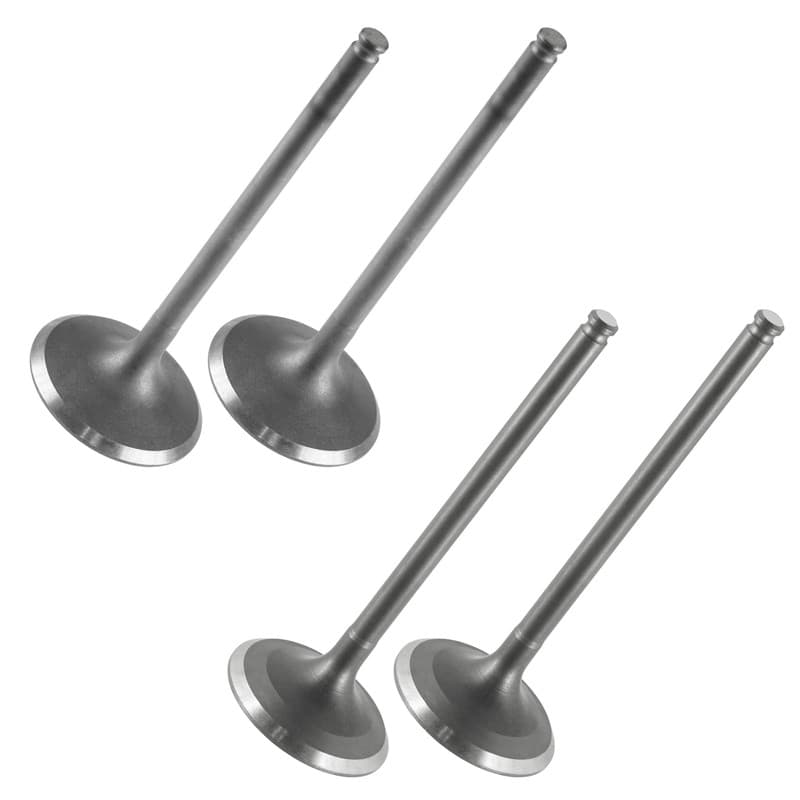 Intake Exhaust Valves for Suzuki King Quad 750 4x4 ATV LTA750X AXI  2008-2023