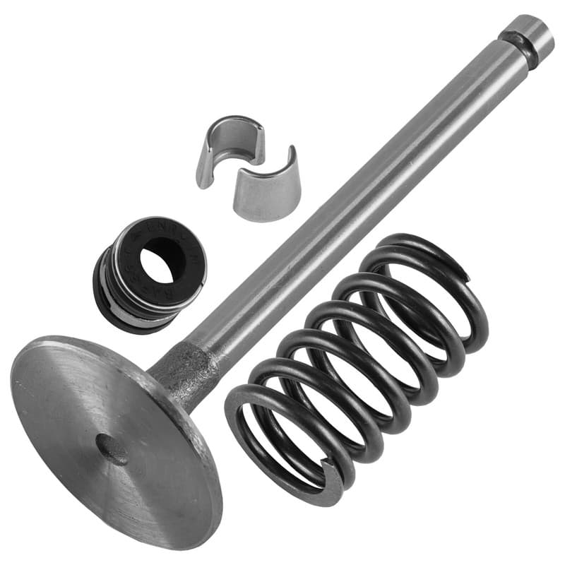Caltric Intake Valve Kit for Cub Cadet Z-Force Pro 54 CV23S-75592 CV740S-0015