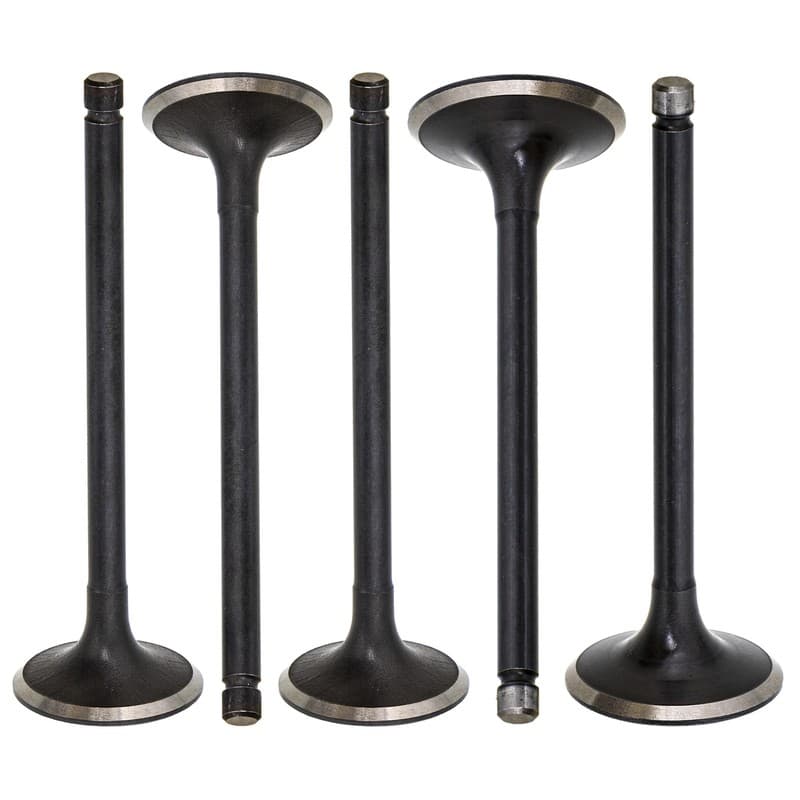 NICHE Engine Intake Exhaust Valve for Yamaha Grizzly Raptor Rhino 660 660R