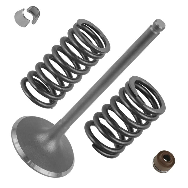 Intake Valve Kit for Honda Rancher 400 TRX400A 4x4 2004 2005 2006 2007
