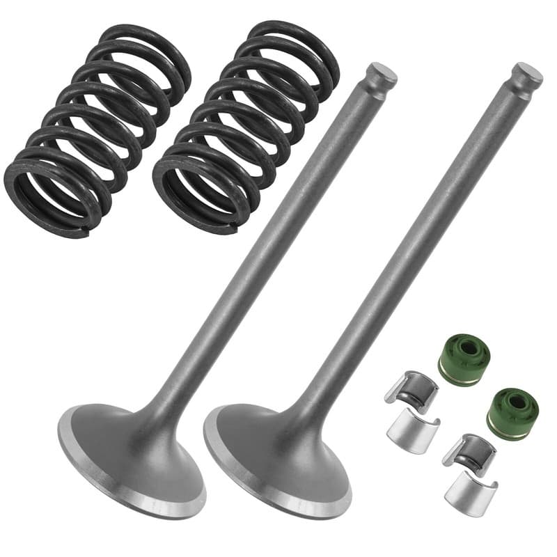2x Exhaust Valve Kit for Yamaha YZ450F 2010 2011 2012 2013 / 33D121210000