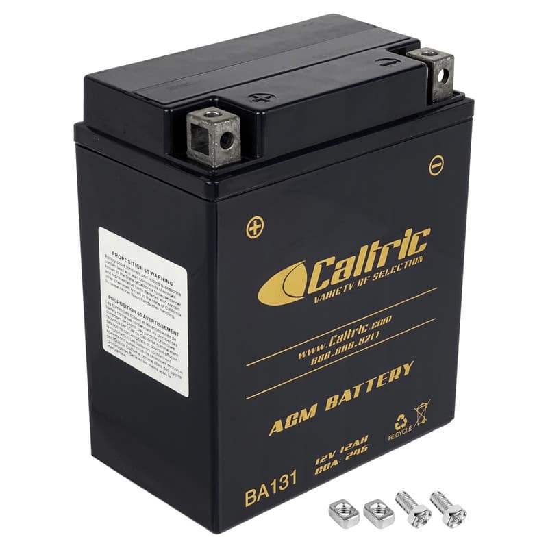 YB12C-A AGM Battery for Yamaha 1UY-82110-61-00, 3FA-82110-12-00, BTG-12N12-C4-A2