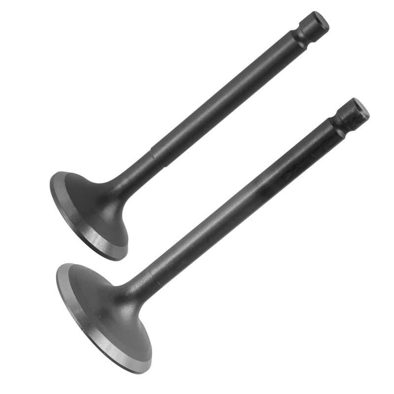 Exhaust & Intake Valve for Yamaha YFM125 Grizzly 2004-2013 / 5AP-12111-01-00