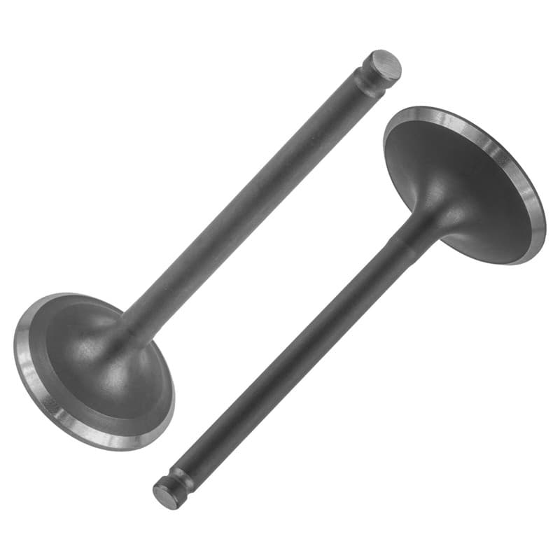 Intake & Exhaust Valve For Honda Fourtrax Foreman TRX400FW 4x4 1995-1996
