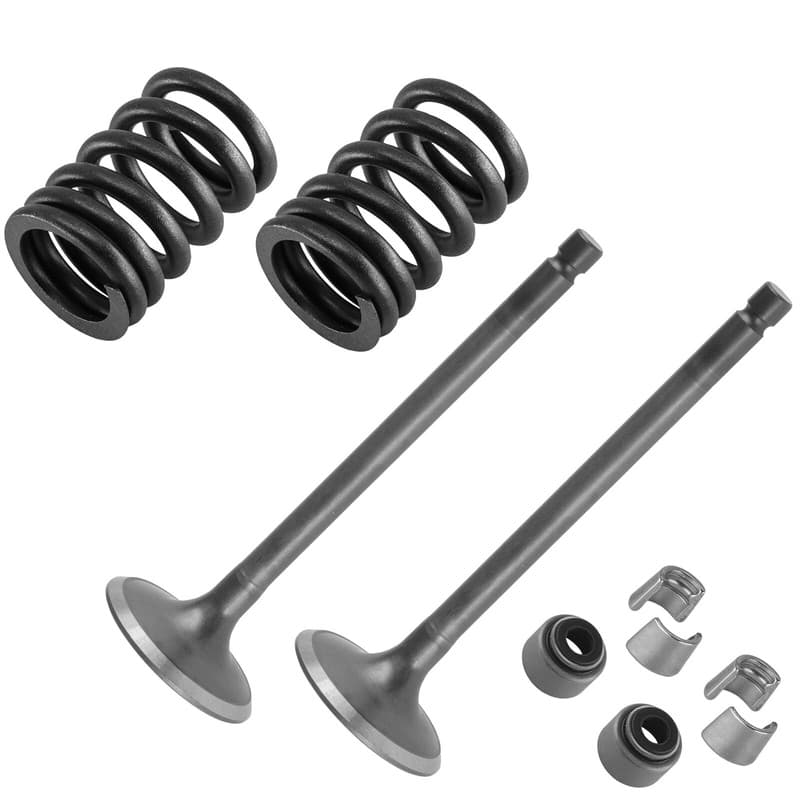 2x Exhaust Valve Kit for Yamaha Raptor 700 YFM700 2006 2007 2008 2009 2010-2022