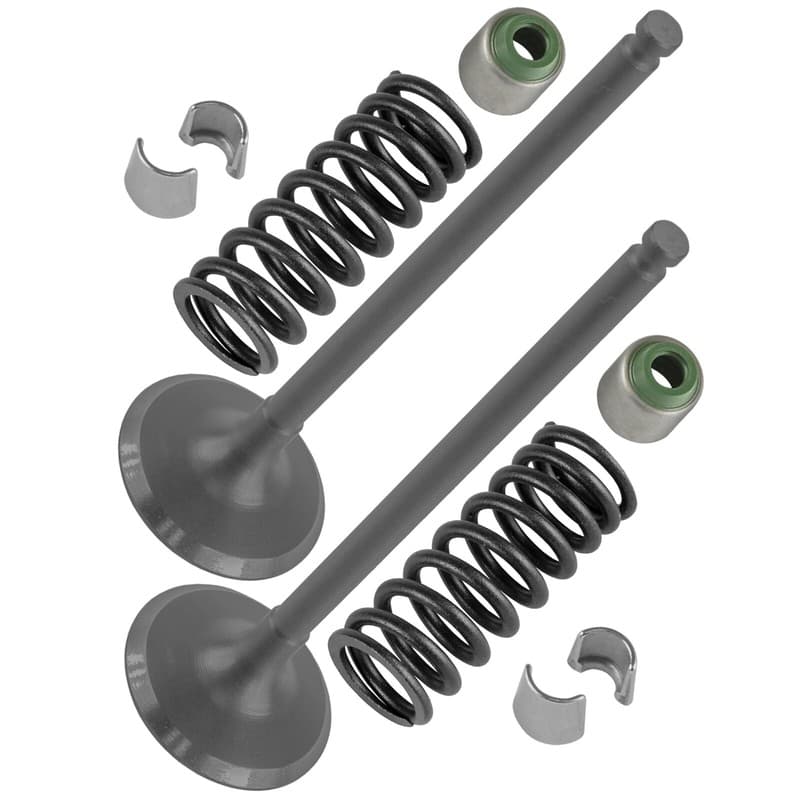 2x Intake Valve Kit for Yamaha 5NL-12112-30-00 5NL-12113-10-00 1HX-12118-00-00