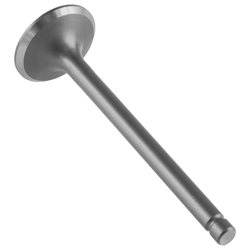 Exhaust Valve for Kawasaki Bayou 300 KLF300B 1988-2004
