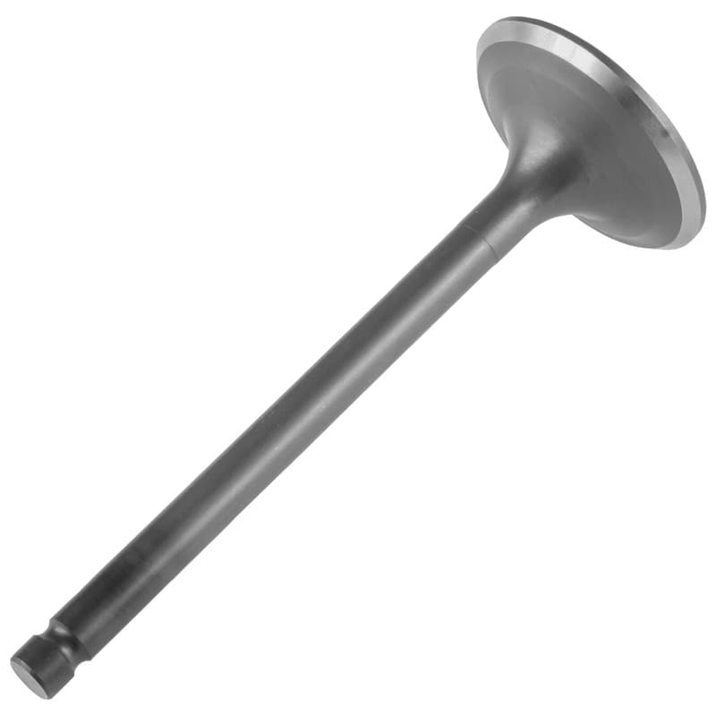 Intake Valve for Yamaha Big Bear 350 YFM350FW 4WD 1987-1999