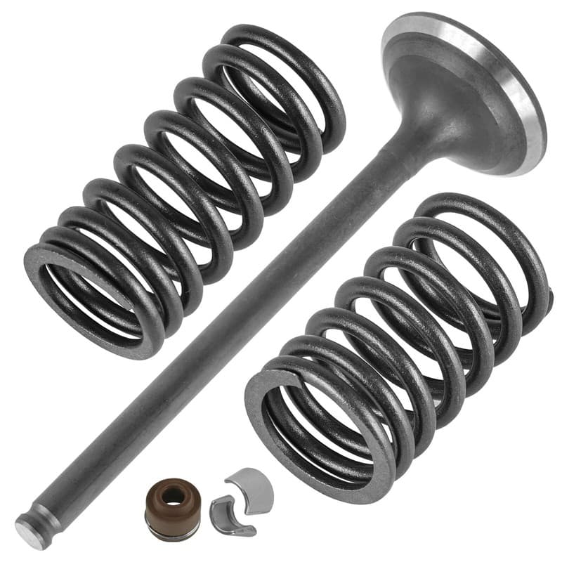 Exhaust Valve Kit for Honda FourTrax 300 TRX300 2x4 TRX300FW 4x4 1988-2000