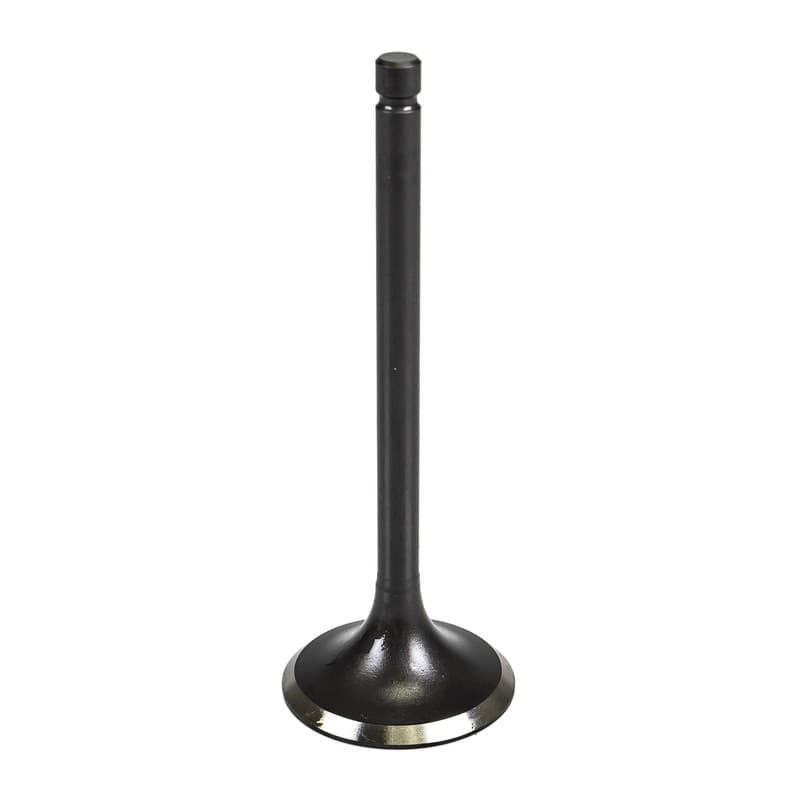 Cylinder Exhaust Valve for Yamaha TTR225 TTR230 XT250 5H0-12121-01-00 1981-2018