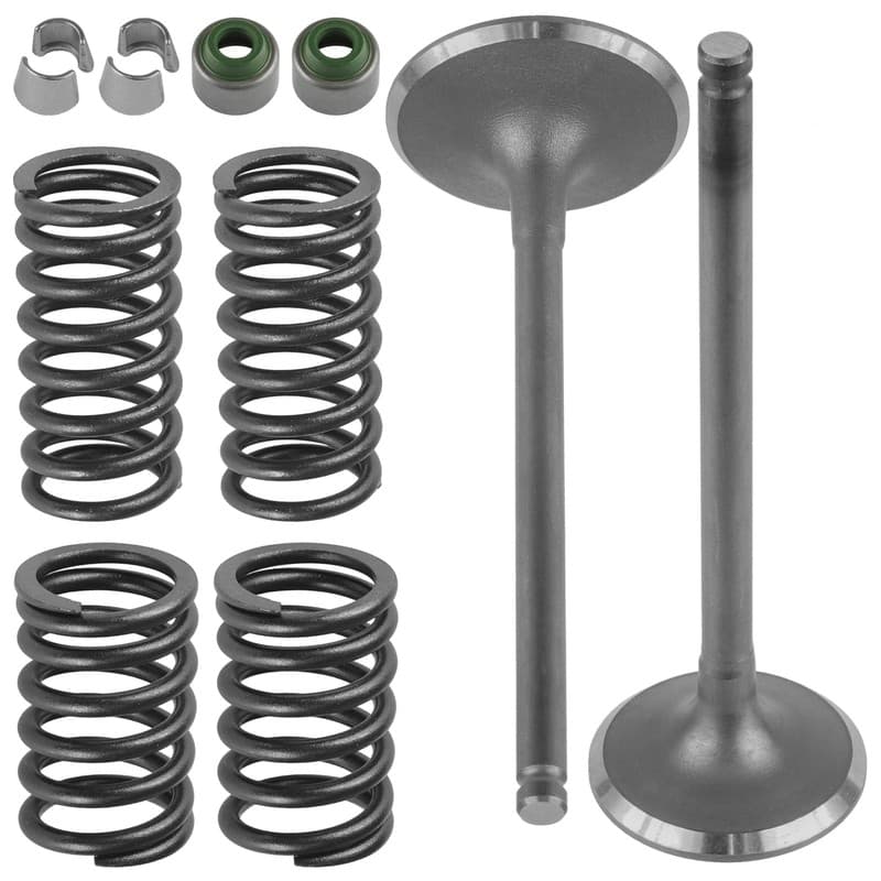 Intake & Exhaust Valve Kit For Honda Rancher 420 TRX420 2x4 4x4 2007-2008