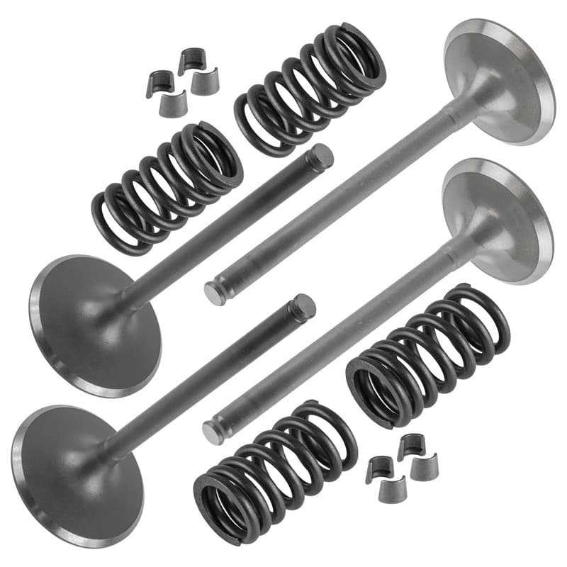 Cylinder Intake And Exhaust Valve Kit Fits Honda TRX450R Sportrax 450 2004-2005