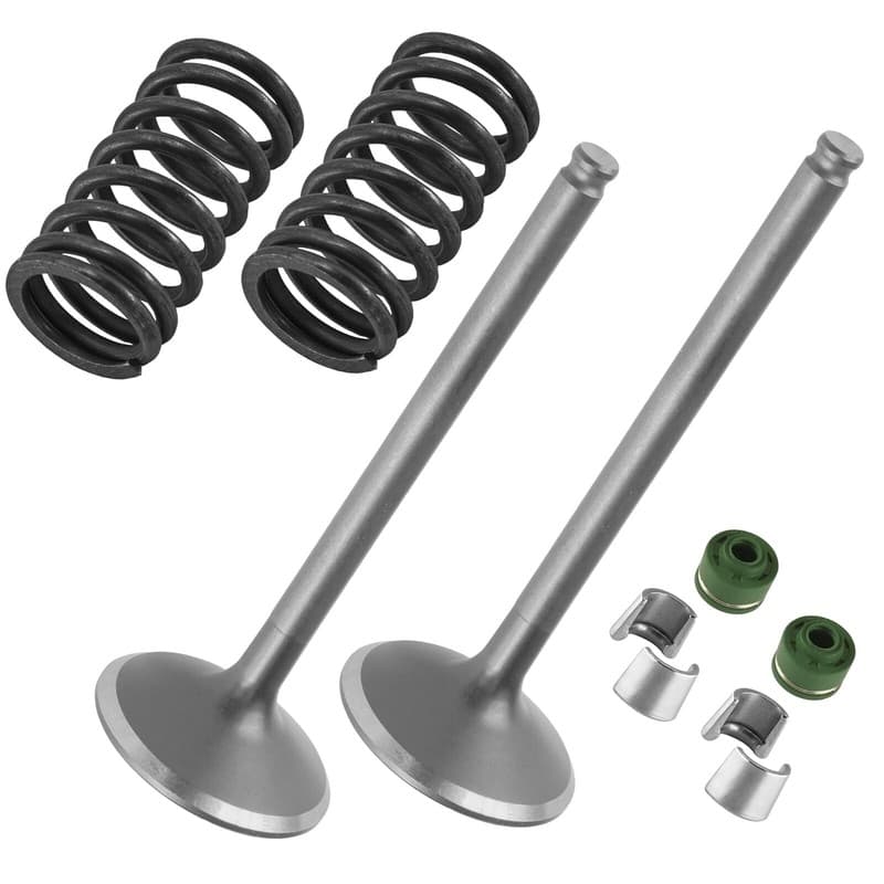 2x Exhaust Valve Kit for Yamaha YZ450F 2014 2015 2016 2017 / 33D-12114-00-00