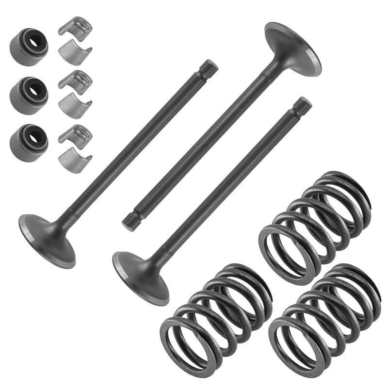 Intake Valve Kit for Yamaha Rhino 660 YXR660 4x4 2004-2007 / 3YF-12111-00-00