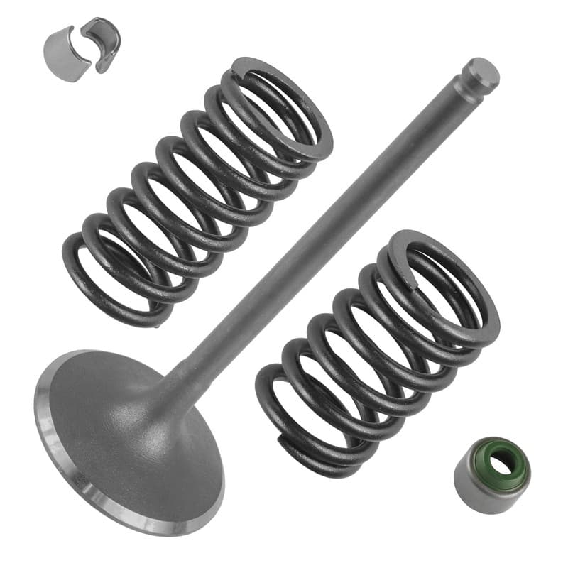 Caltric 14711-HN7-000 14761-HN7-000 14781-HA0-770 Intake Valve Kit For Honda