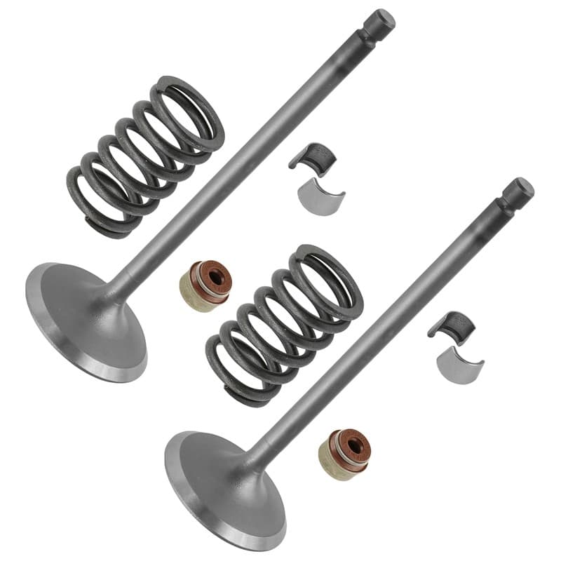 Caltric 0809-228 0809-231 0830-186 0809-233 Intake Valve Kit For Arctic Cat