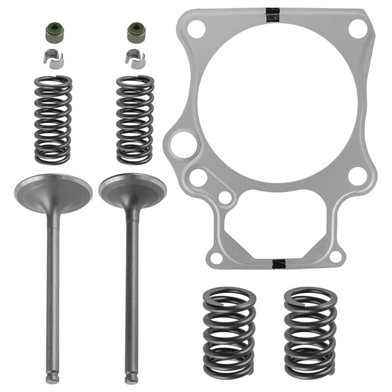 Cylinder Intake Exhaust Valve Kit for Honda TRX420FPA Rancher 420 4X4 2009-2014