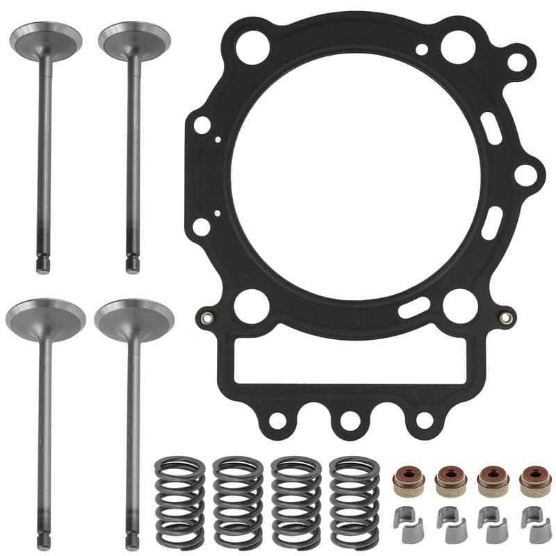 Cylinder Head Intake Exhaust Valve Kit for Arctic Cat Prowler Xtx 700 4X4 H1 08