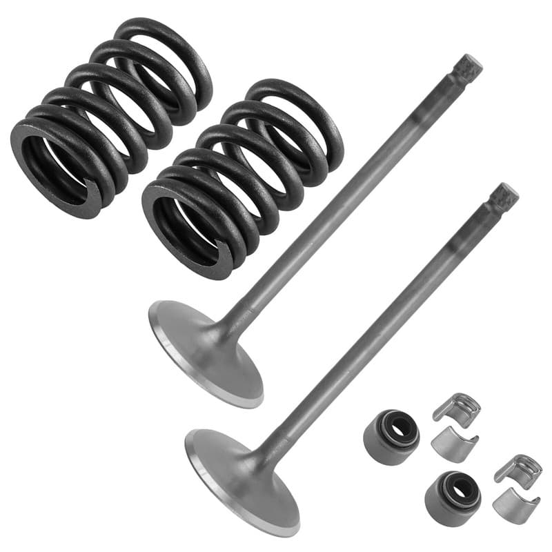 2x Intake Valve Kit for Yamaha Grizzly 700 YFM700 4x4 2008 2009-2015 2019-2022