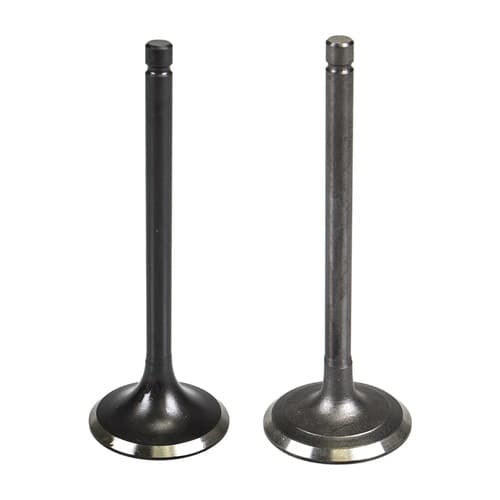 NICHE Cylinder Head Intake Exhaust Valve for Yamaha XT225 TTR230 1981-2016
