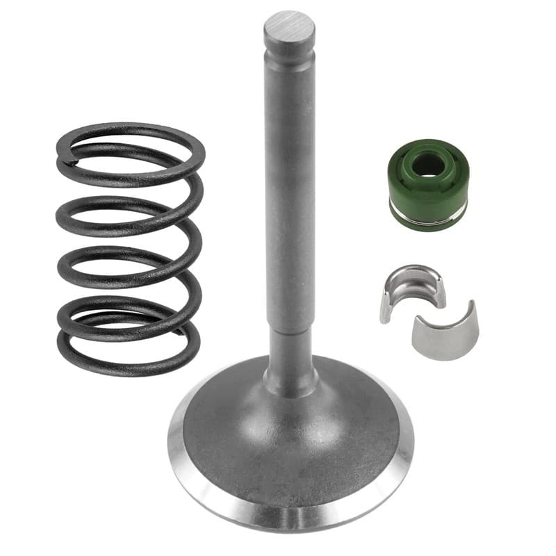 Intake Valve Kit for Kawasaki Mule 4010 4x4 2009 2010 2011 2012 2013 2014-2023