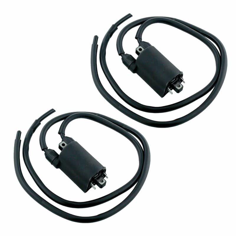 2 Sets Of Ignition Coil for Honda VF750C VF750Cd VF750C2 Magna 1988 1994-2003