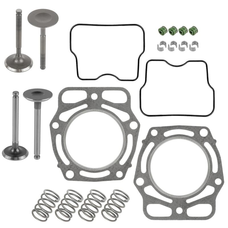 Valve Kit for Kawasaki FD620D Engine Valves Springs Seals Gaskets Cotters