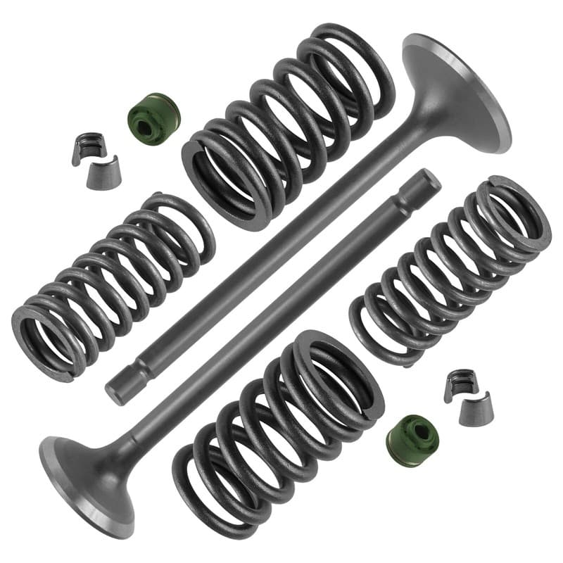 Cylinder Head Intake Exhaust Valve Kit for Honda ATC200 ATC200E 1981-1983