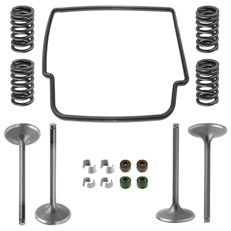 Intake & Exhaust Valve with Spring Gasket Kit For Honda CRF450RA 2002-2006