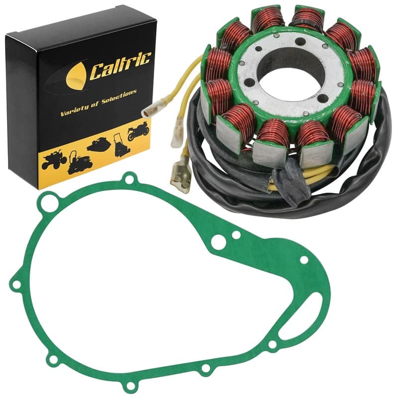 Stator & Gasket for Suzuki GS750 GS750L GS750N 1977-1979 Generator 12-Pole