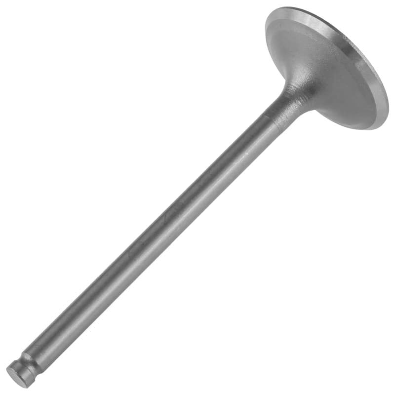 Caltric Intake Valve for Honda TRX250TM Recon 250 2X4 2002-2025
