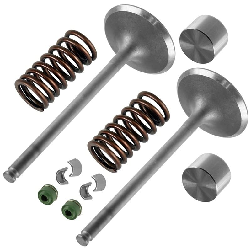 2x Intake Valve Kit for Suzuki King Quad 750 LTA750X 4x4 2008-2009 2011-2022