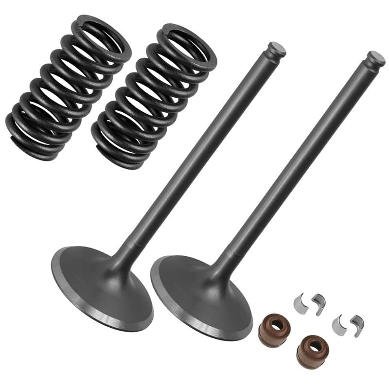 2x Intake Valve Kit for Honda CRF250R 2004 2005 2006 2007 / 14711-KRN-670